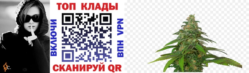 Купить закладку Гашиш Кокаин Меф СК Конопля Великие Луки