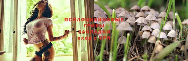гидропоника Арсеньев