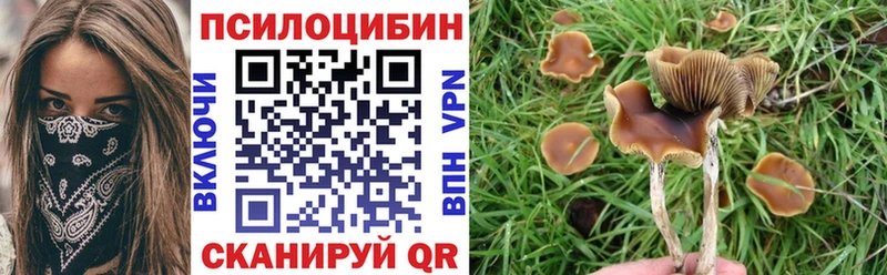 Галлюциногенные грибы Psilocybe  Купить  Великие Луки 