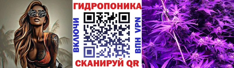 Купить закладки  Великие Луки  Конопля SATIVA & INDICA 
